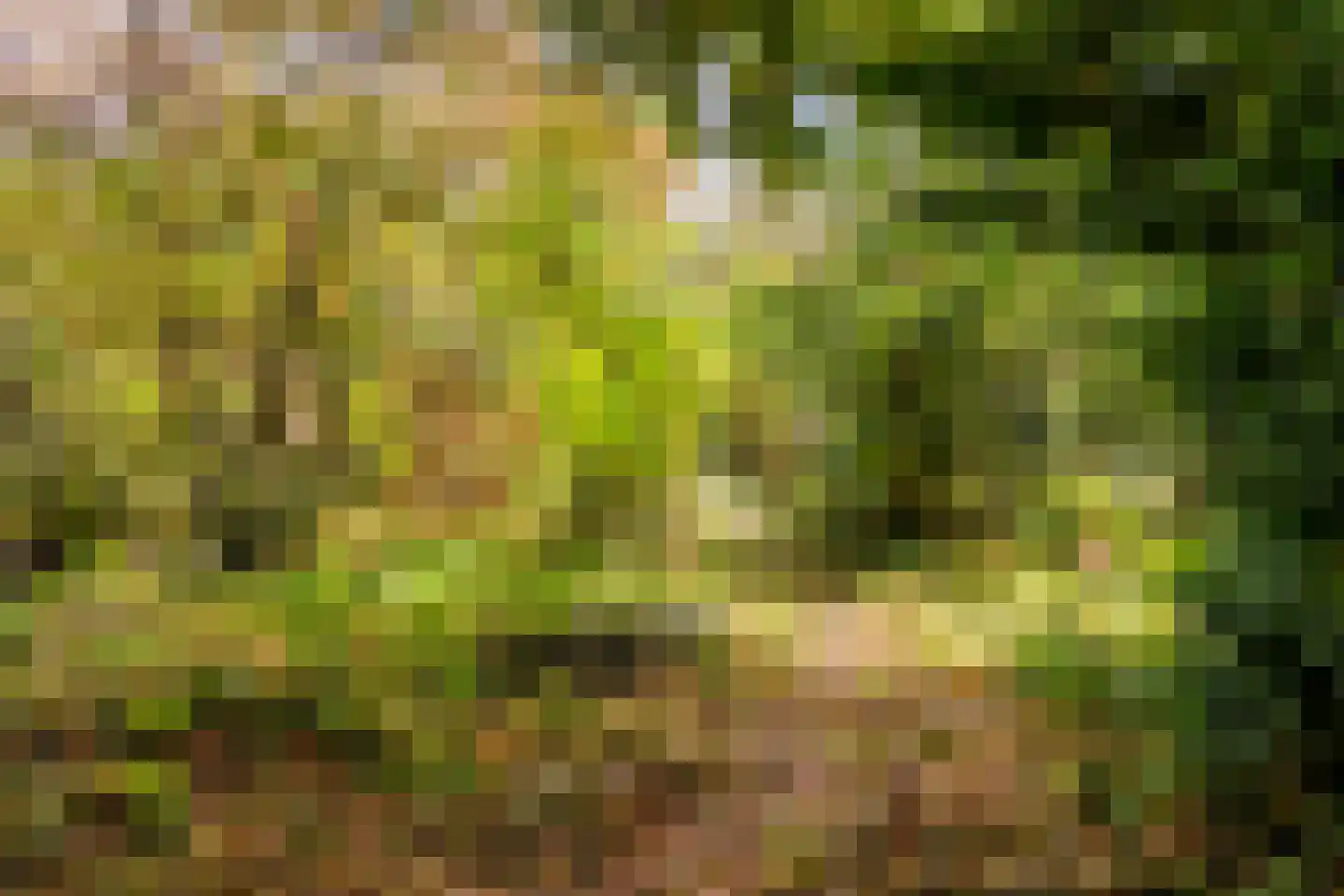 Duinoordseweg 22 Oostvoorne thumbnail 27