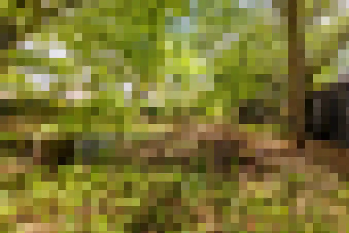 Duinoordseweg 22 Oostvoorne thumbnail 28