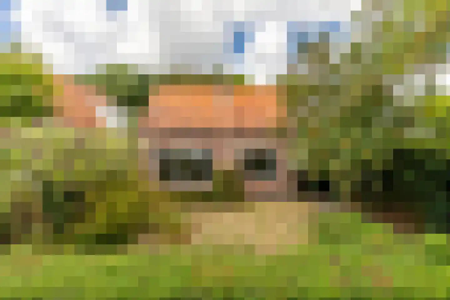 Duinoordseweg 22 Oostvoorne thumbnail 29