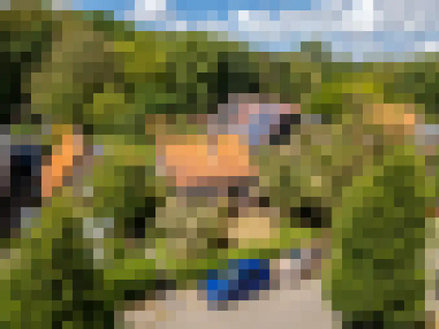 Duinoordseweg 22 Oostvoorne thumbnail 33