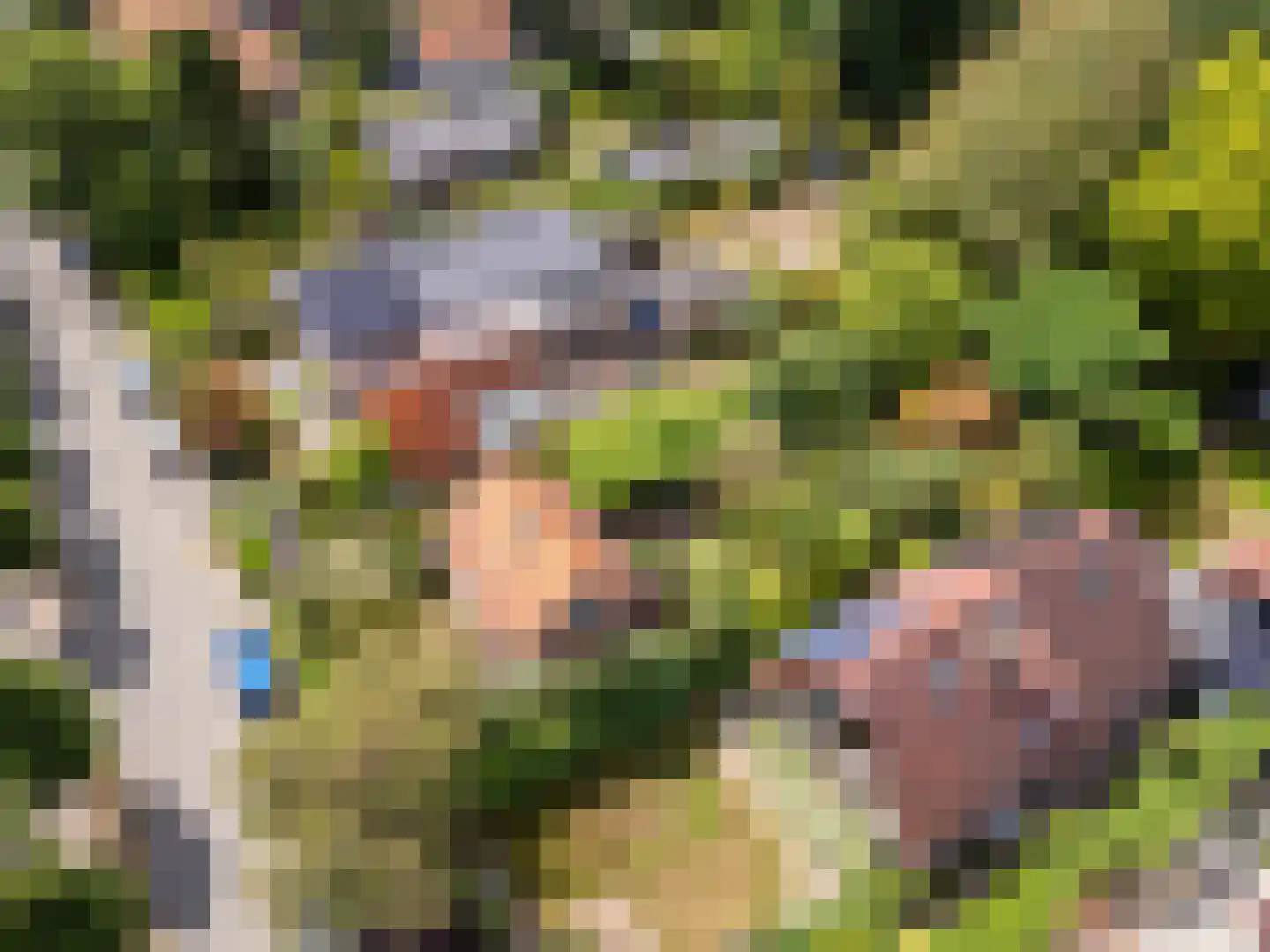 Duinoordseweg 22 Oostvoorne thumbnail 35