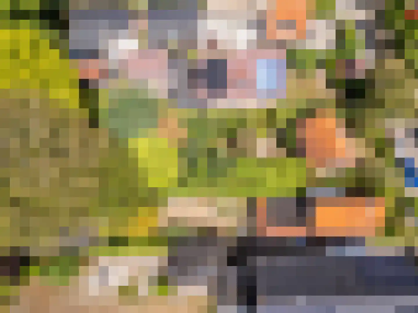 Duinoordseweg 22 Oostvoorne thumbnail 36