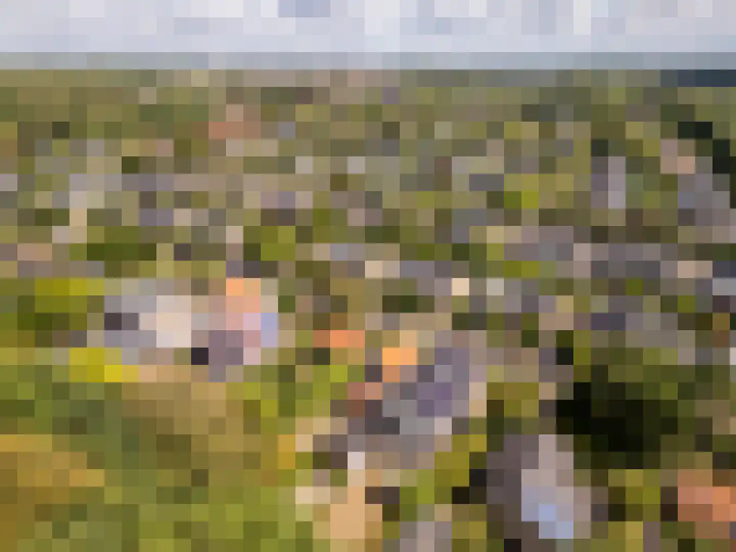 Duinoordseweg 22 Oostvoorne thumbnail 38