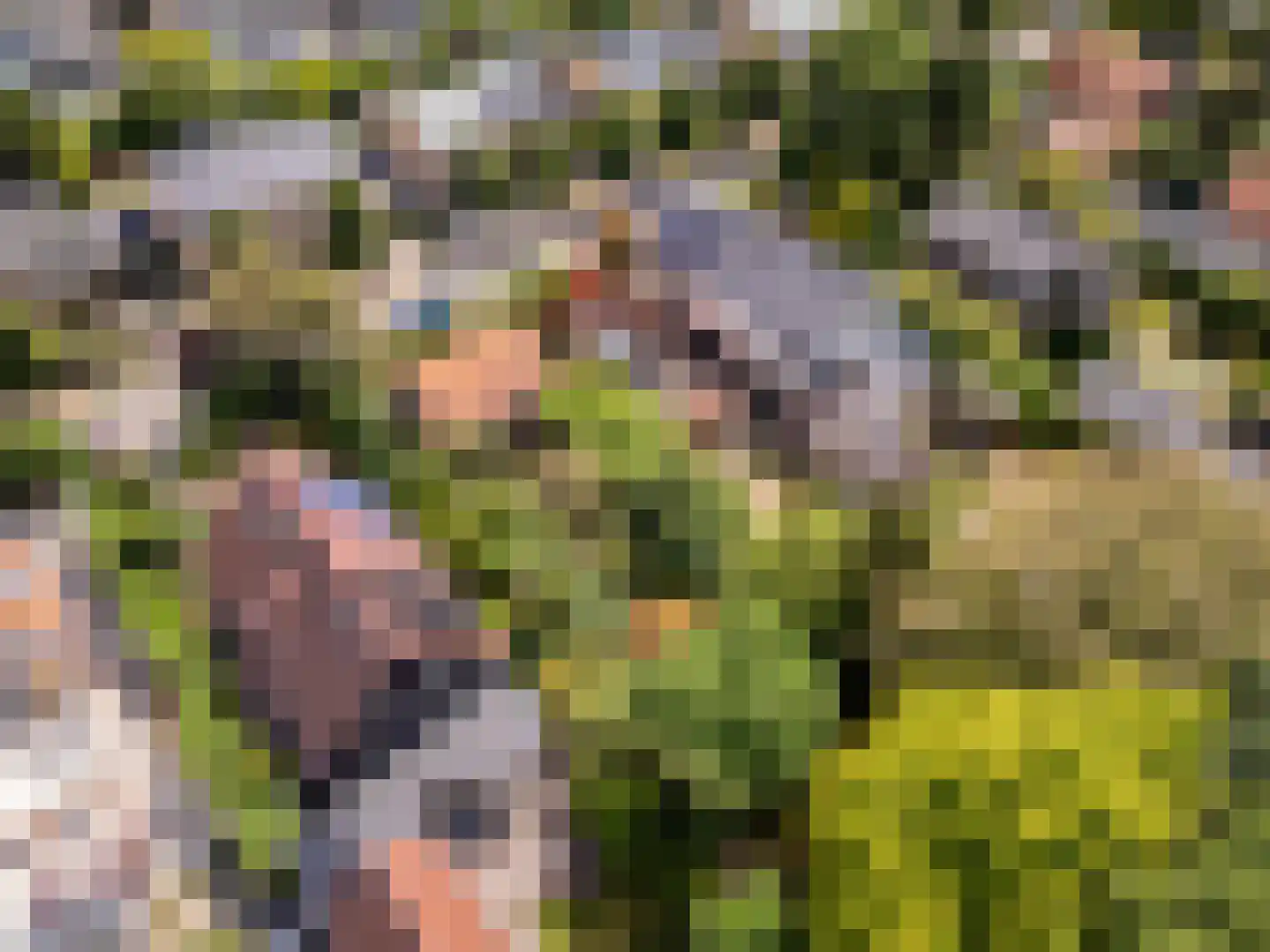 Duinoordseweg 22 Oostvoorne thumbnail 41