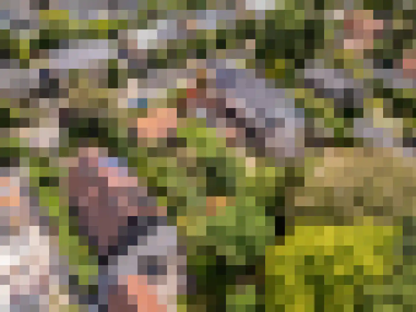 Duinoordseweg 22 Oostvoorne thumbnail 41