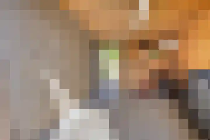Duinoordseweg 8 Oostvoorne thumbnail 21