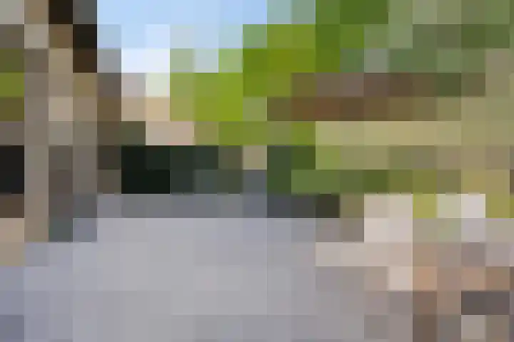 Duinoordseweg 8 Oostvoorne thumbnail 23