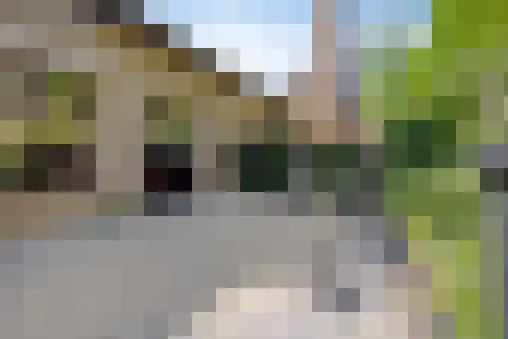 Duinoordseweg 8 Oostvoorne thumbnail 24