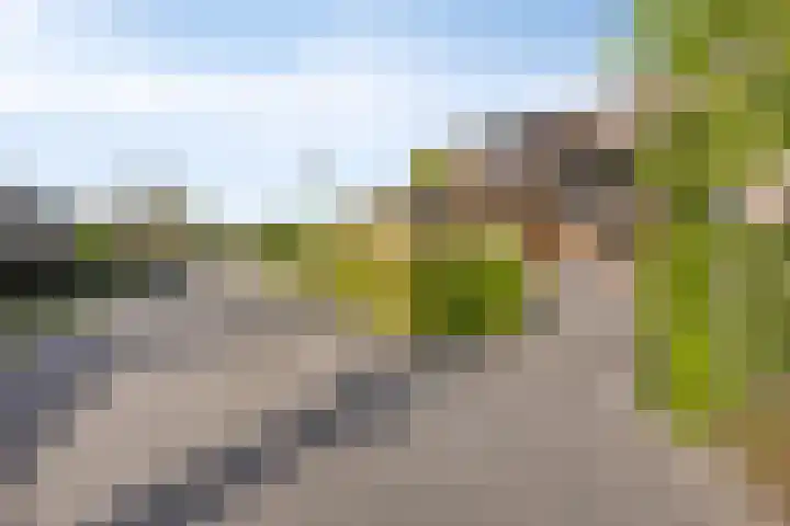 Duinoordseweg 8 Oostvoorne thumbnail 27