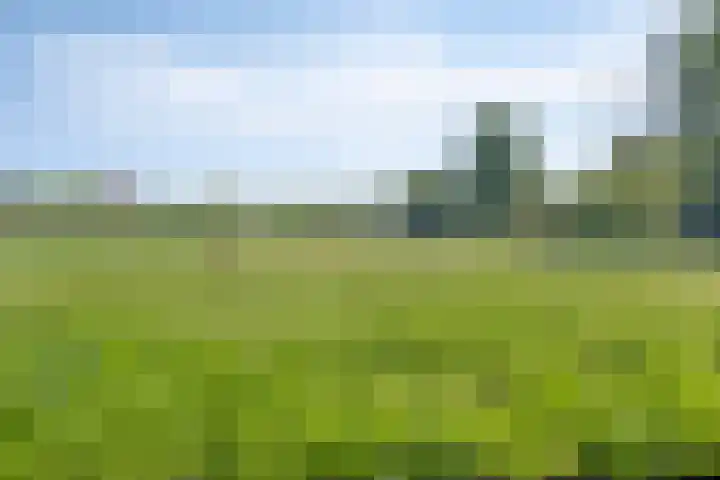Duinoordseweg 8 Oostvoorne thumbnail 28
