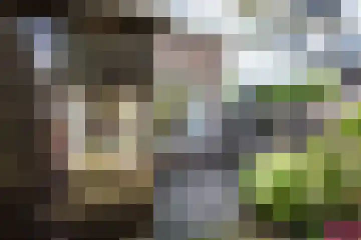 Duinoordstraat 46 Haarlem thumbnail 31