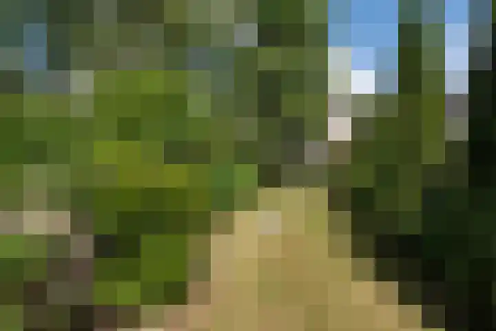 Duinoordstraat 46 Haarlem thumbnail 4