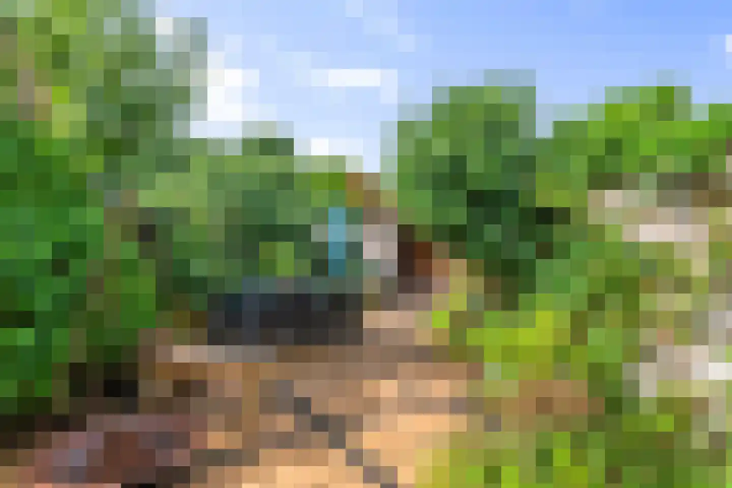 Duinoordstraat 69 Haarlem thumbnail 18