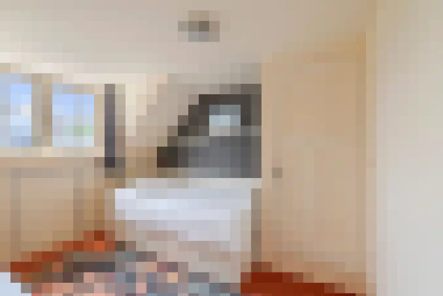 Duinoordstraat 69 Haarlem thumbnail 63