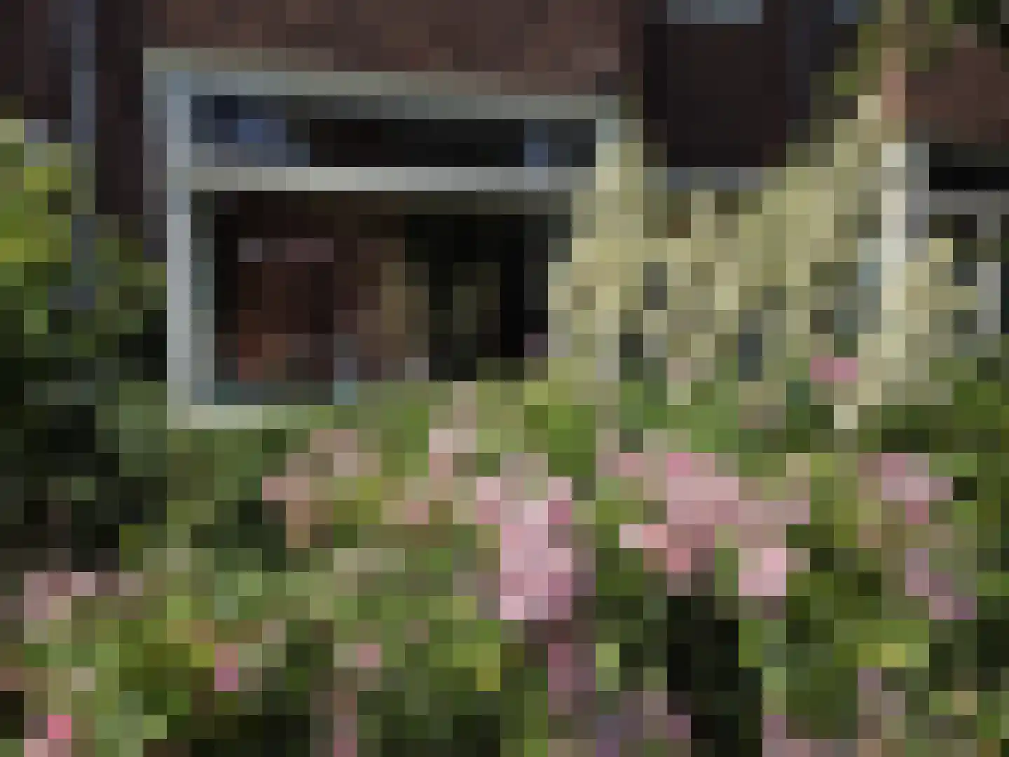 Duinoordstraat 69 Haarlem thumbnail 69