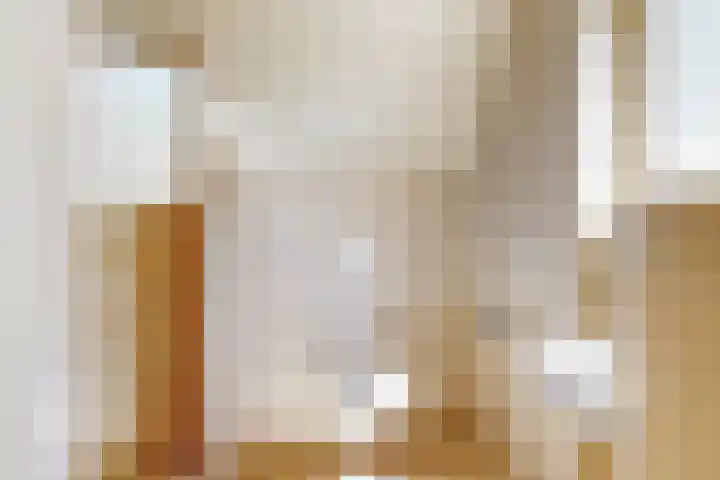 Duinpad 2 a Castricum thumbnail 23