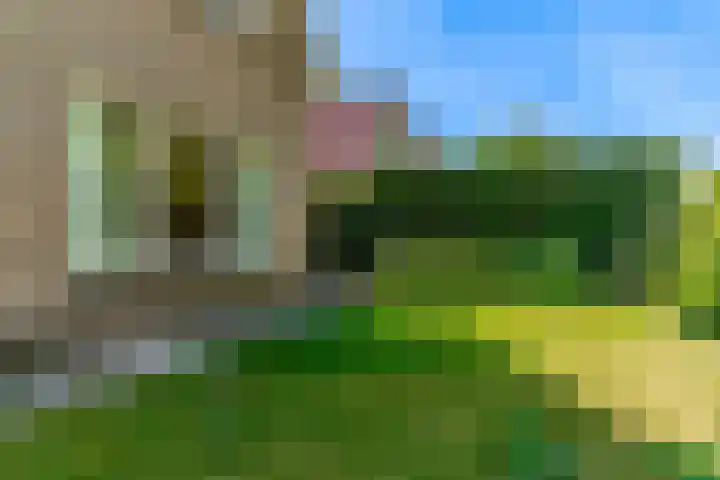 Duinpad 2 a Castricum thumbnail 31