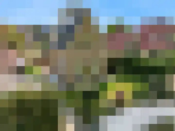 Duinpad 2 a Castricum thumbnail 34