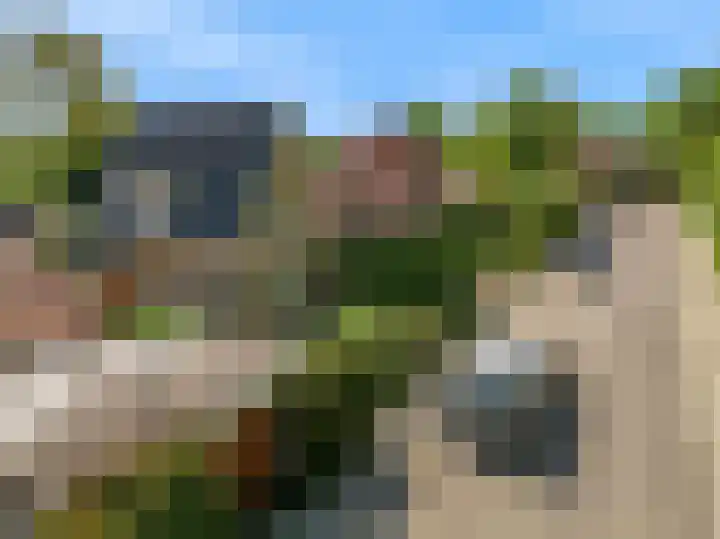 Duinpad 2 a Castricum thumbnail 36