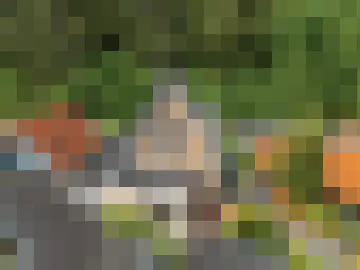 Duinpad 2 a Castricum thumbnail 37