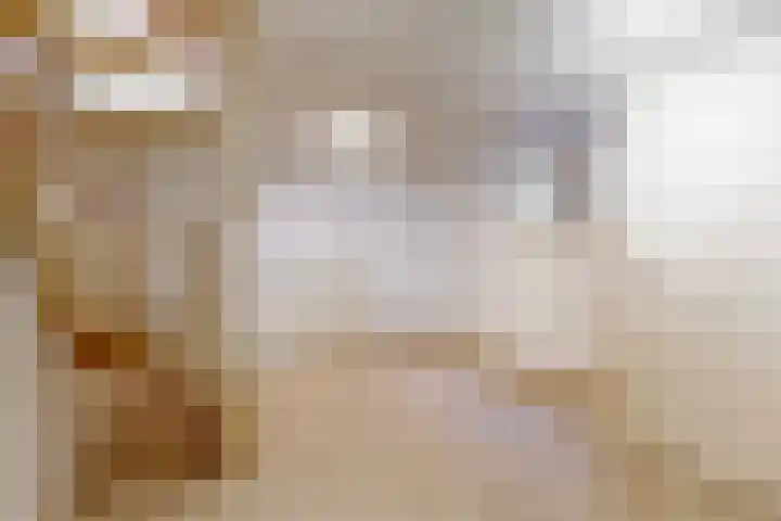 Duinpad 2 a Castricum thumbnail 9