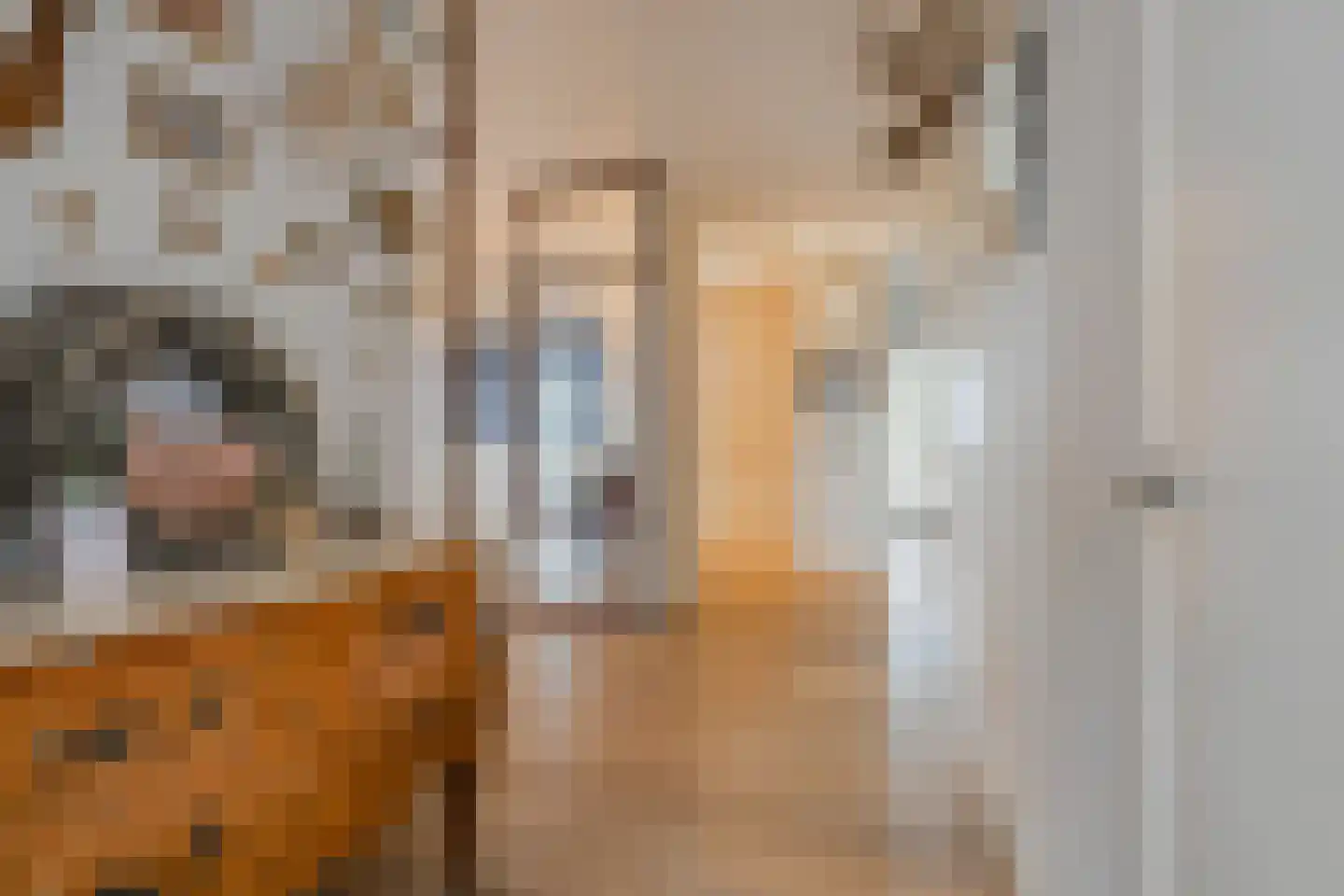 Duinpad 25 Zwaanshoek thumbnail 12
