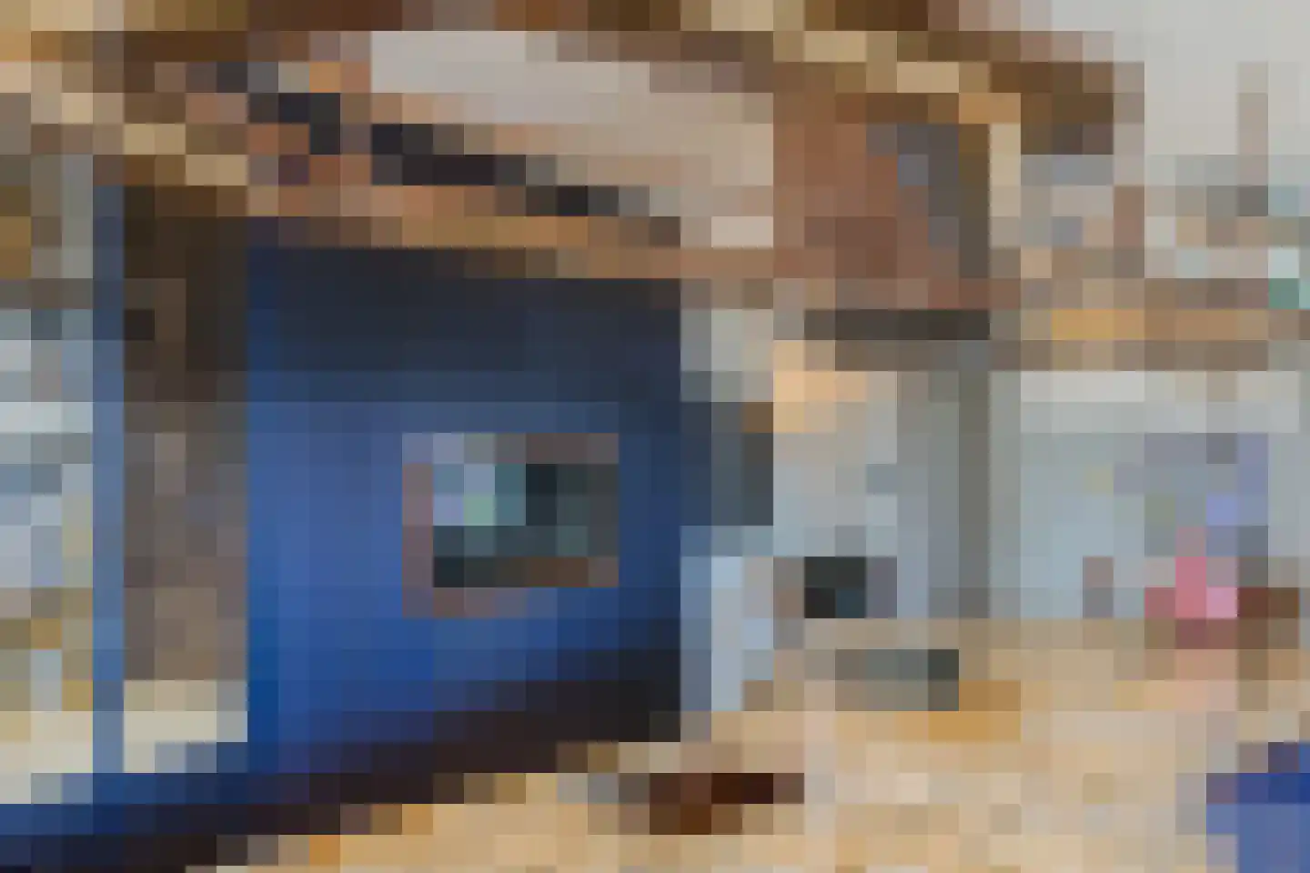 Duinpad 25 Zwaanshoek thumbnail 19