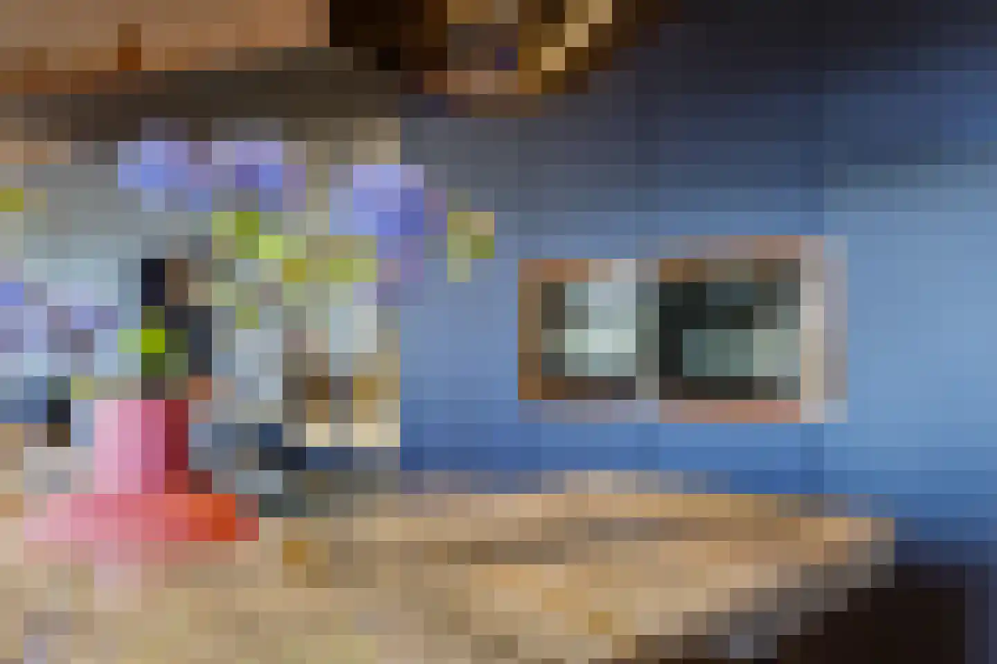 Duinpad 25 Zwaanshoek thumbnail 20