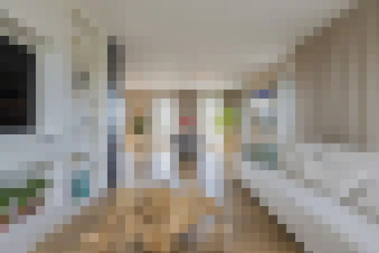 Duinpad 25 Zwaanshoek thumbnail 26