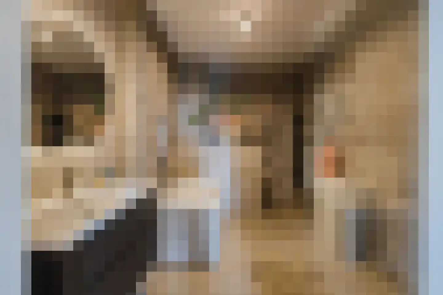 Duinpad 25 Zwaanshoek thumbnail 37