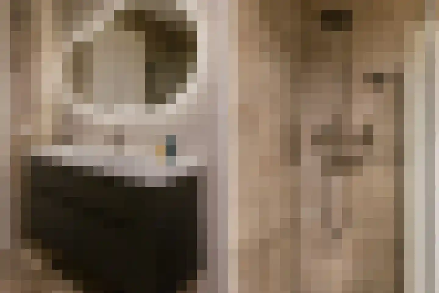 Duinpad 25 Zwaanshoek thumbnail 39