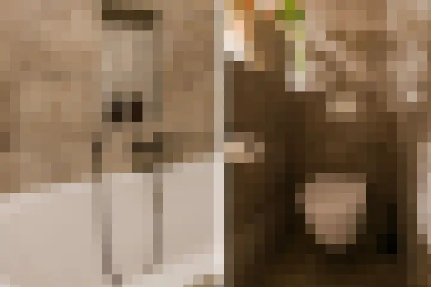 Duinpad 25 Zwaanshoek thumbnail 40