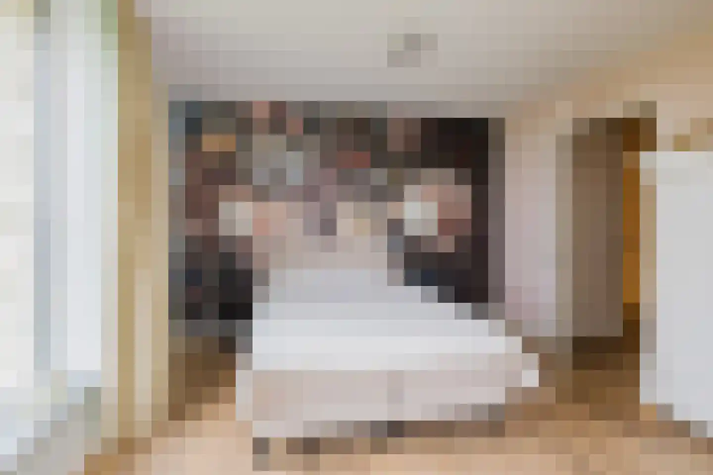 Duinpad 25 Zwaanshoek thumbnail 42