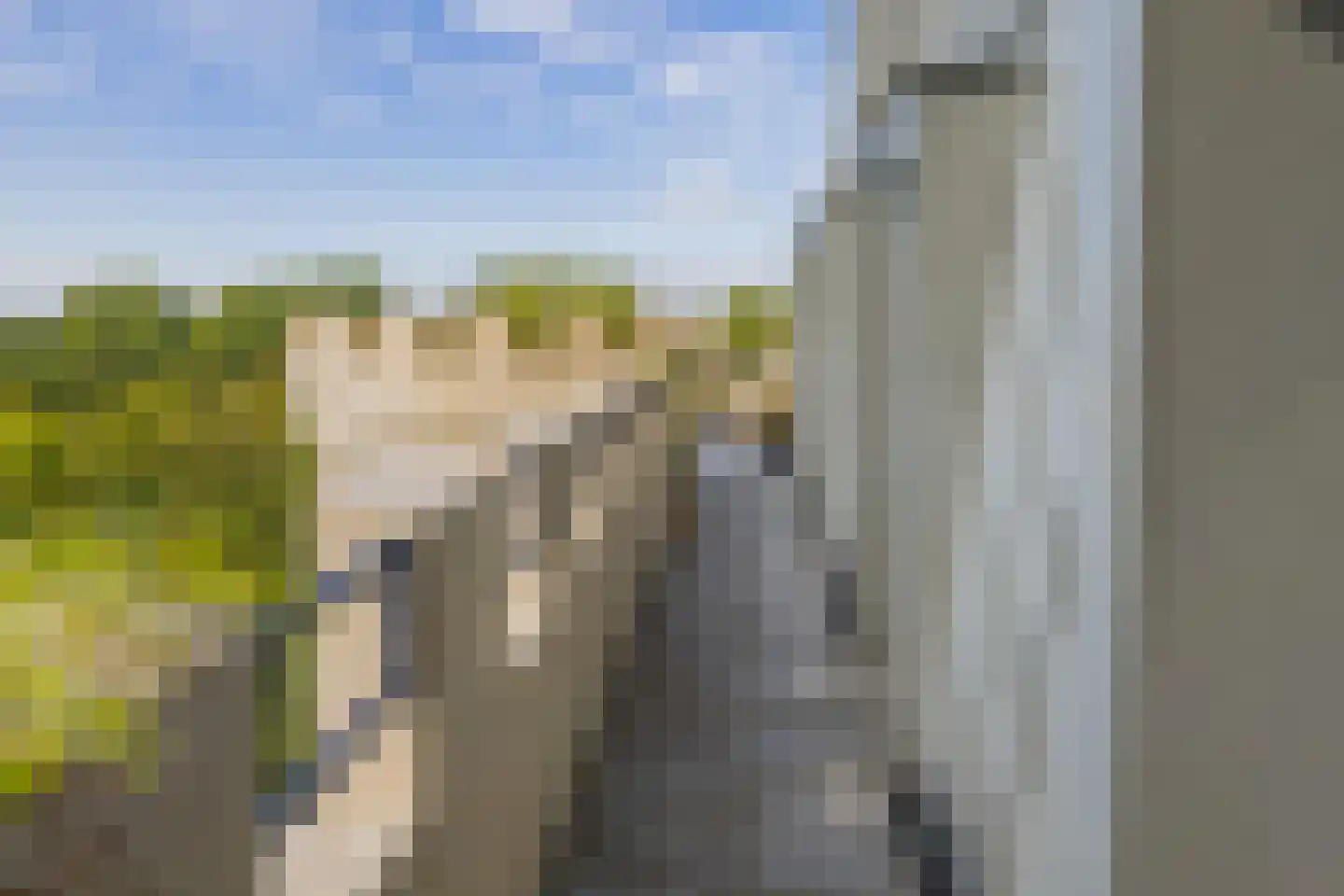 Duinpad 25 Zwaanshoek thumbnail 49