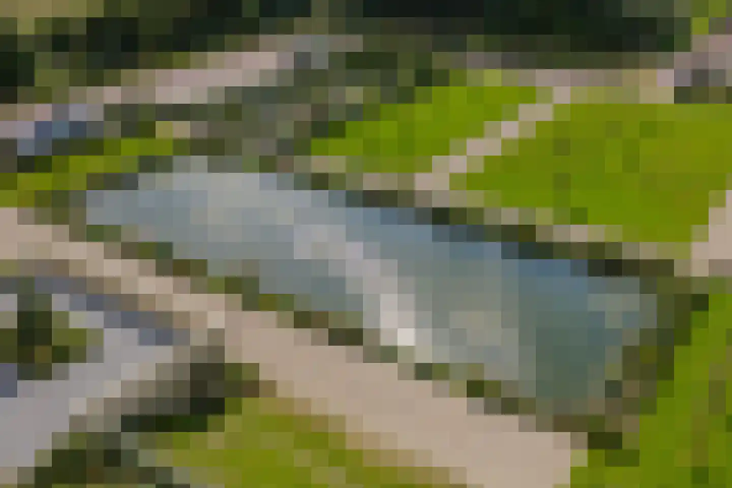 Duinpad 25 Zwaanshoek thumbnail 50