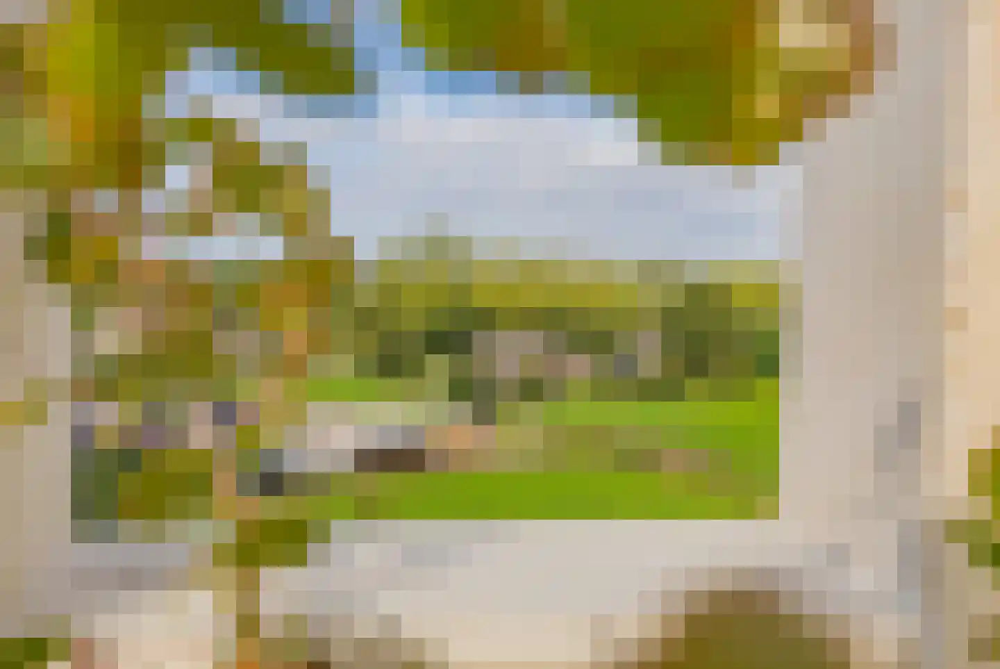 Duinpad 25 Zwaanshoek thumbnail 52