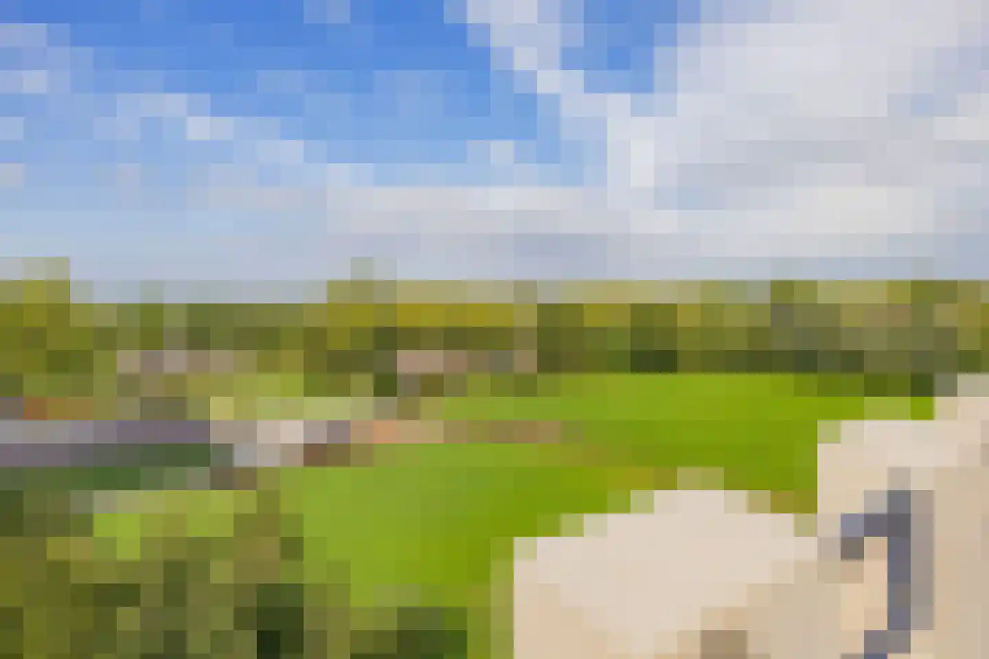Duinpad 25 Zwaanshoek thumbnail 53
