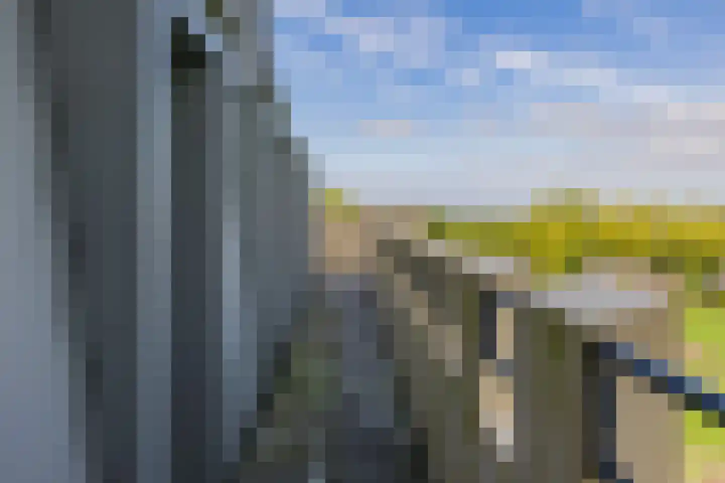 Duinpad 25 Zwaanshoek thumbnail 54