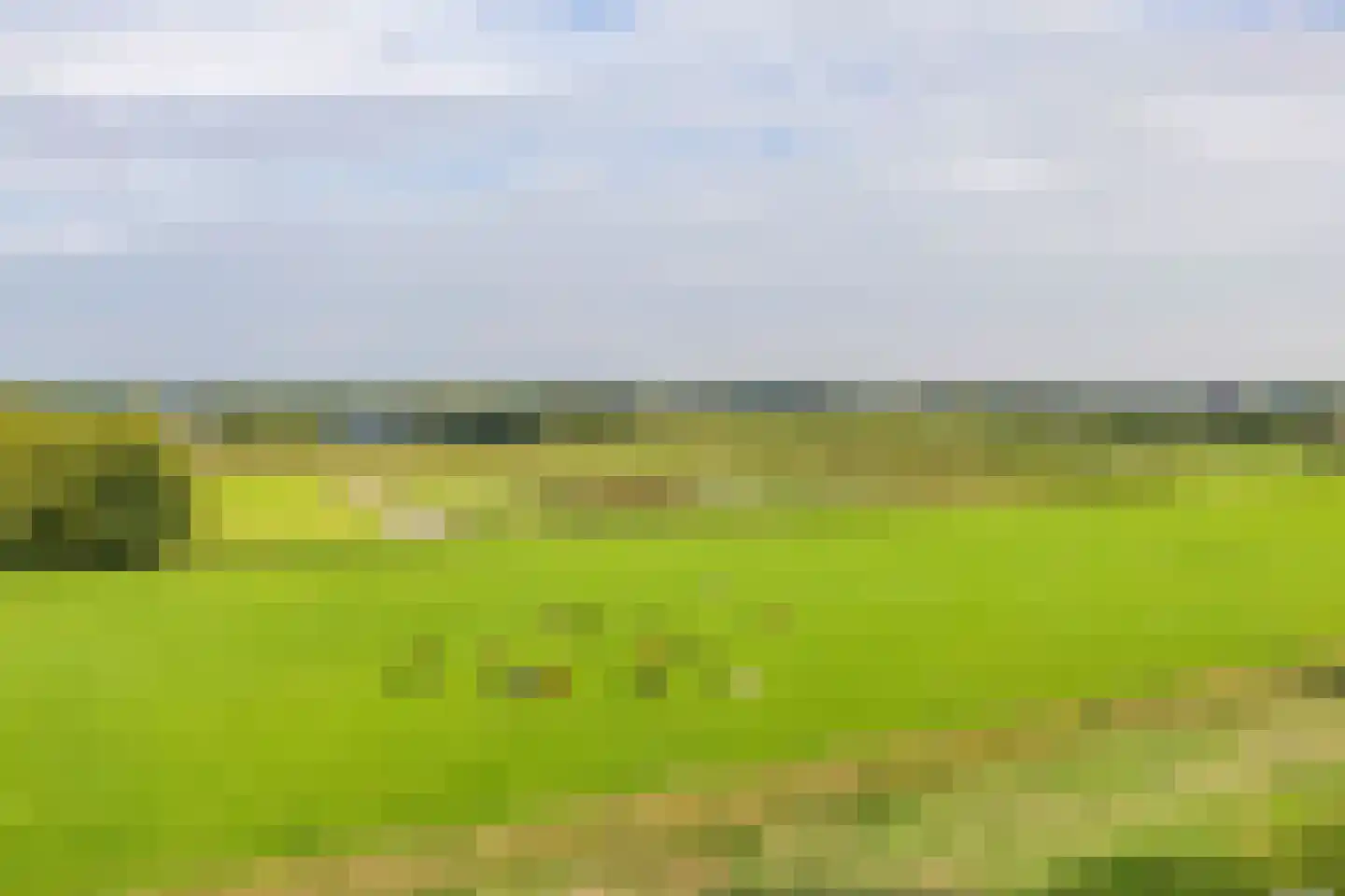Duinpad 25 Zwaanshoek thumbnail 55