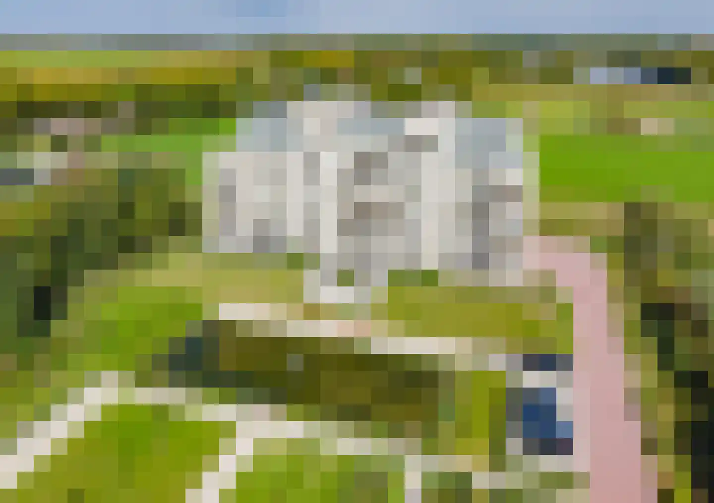 Duinpad 25 Zwaanshoek thumbnail 56