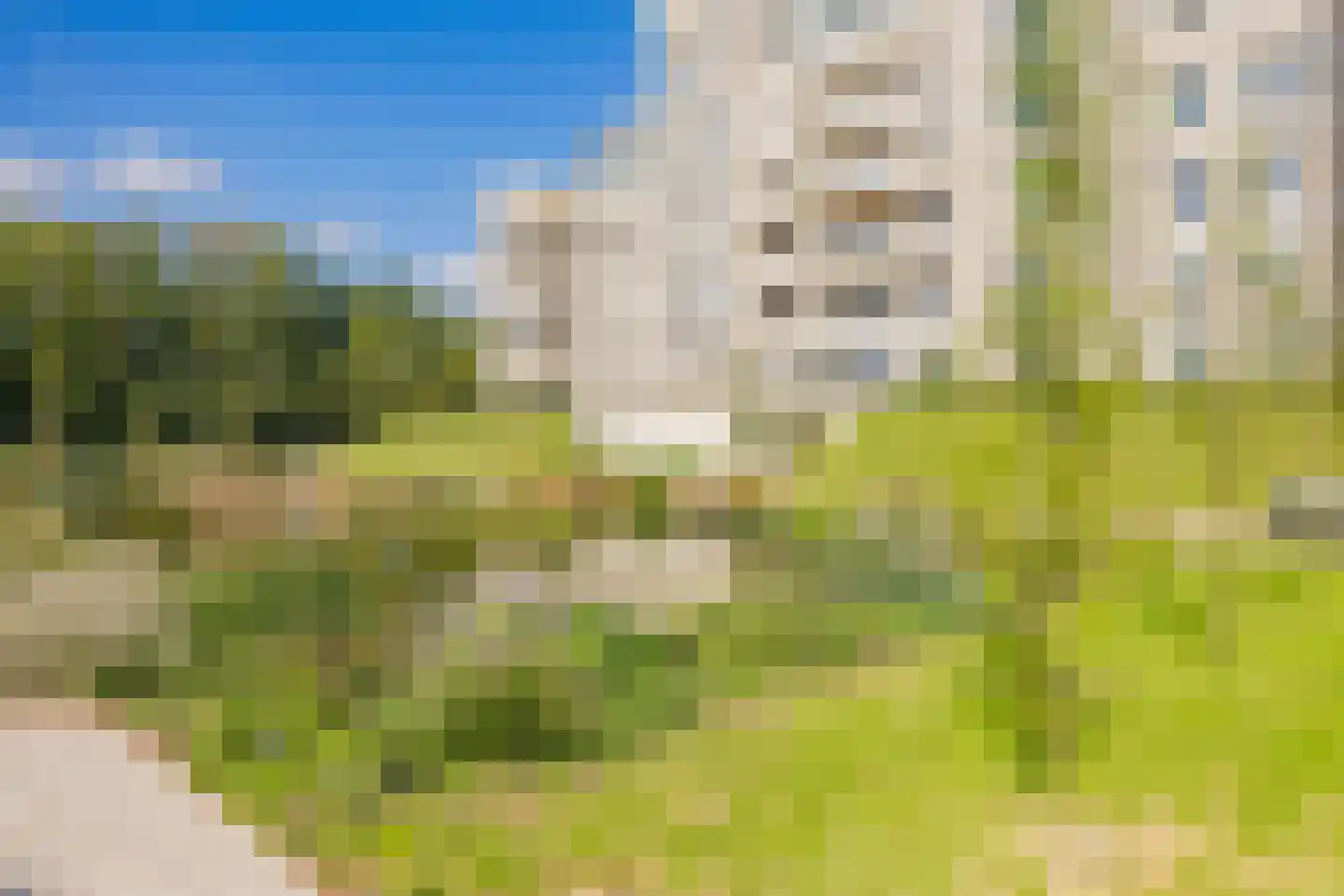 Duinpad 25 Zwaanshoek thumbnail 58
