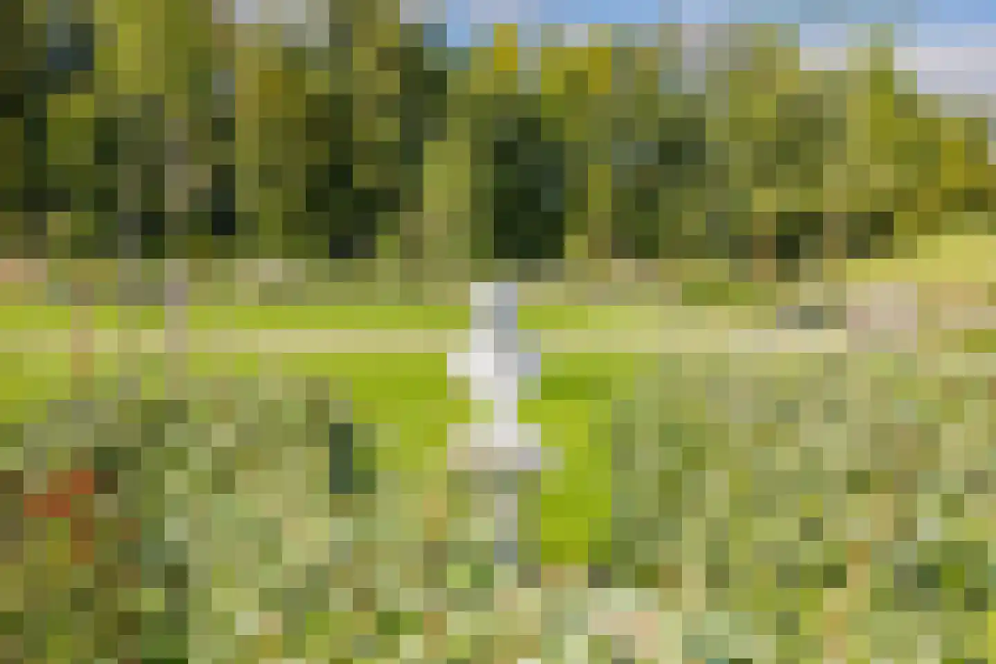 Duinpad 25 Zwaanshoek thumbnail 59