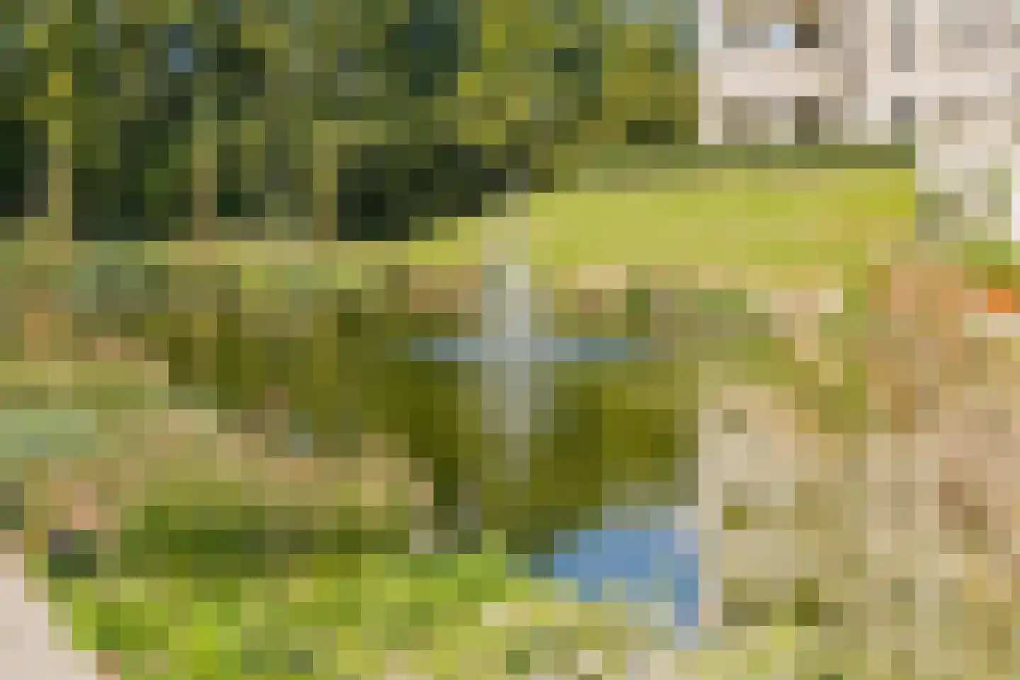 Duinpad 25 Zwaanshoek thumbnail 60
