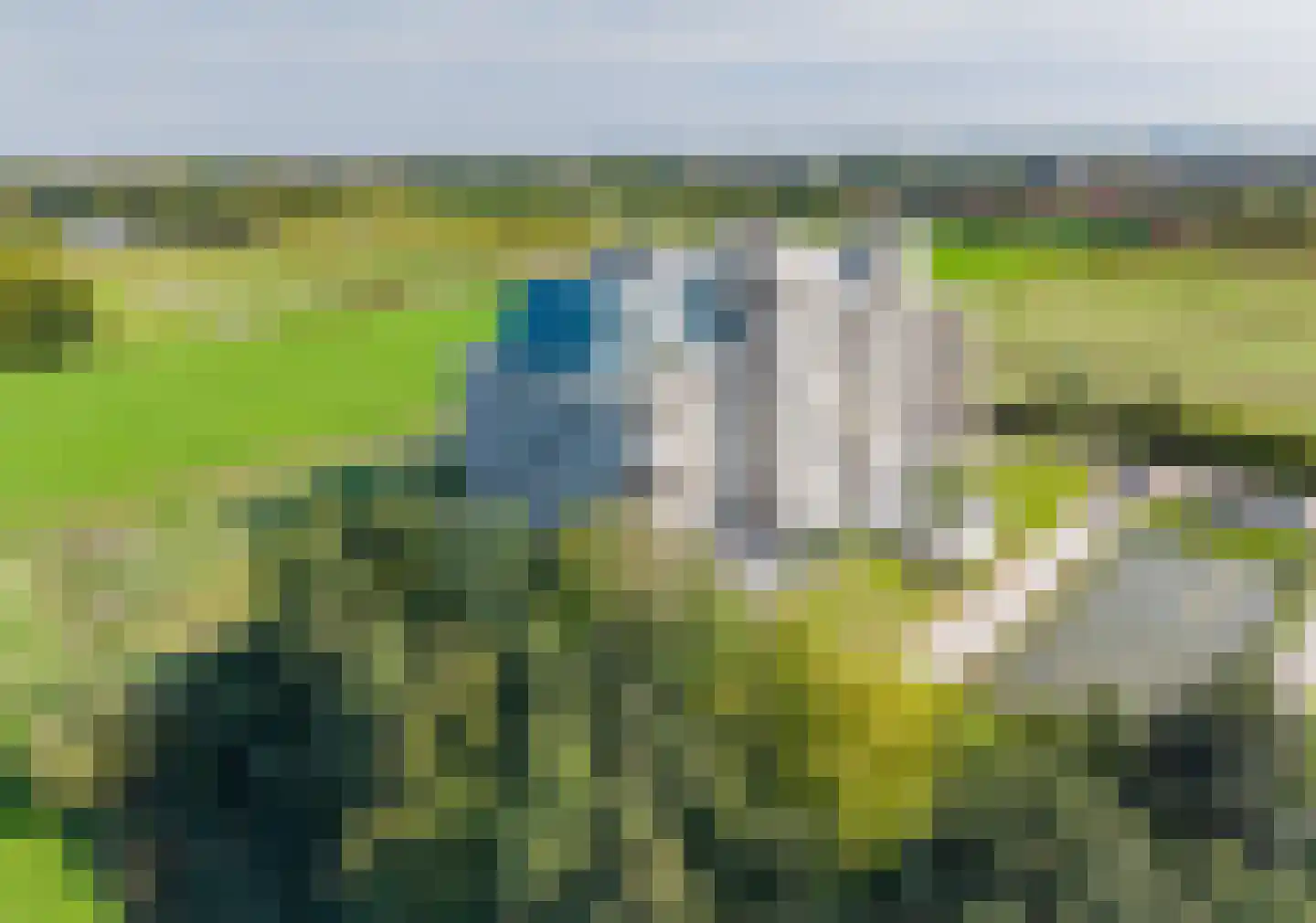 Duinpad 25 Zwaanshoek thumbnail 61