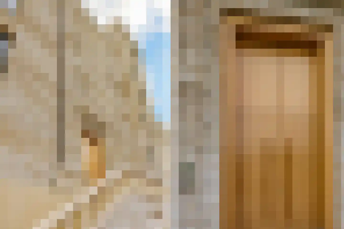 Duinpad 25 Zwaanshoek thumbnail 7