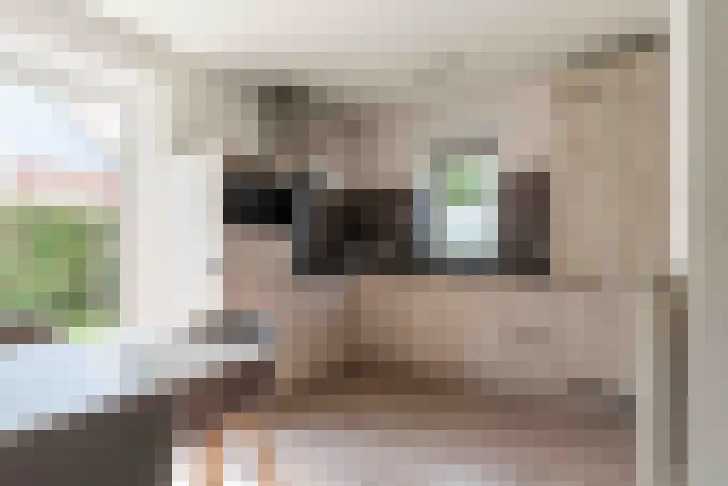 Duinpan 11 Kamperland thumbnail 11
