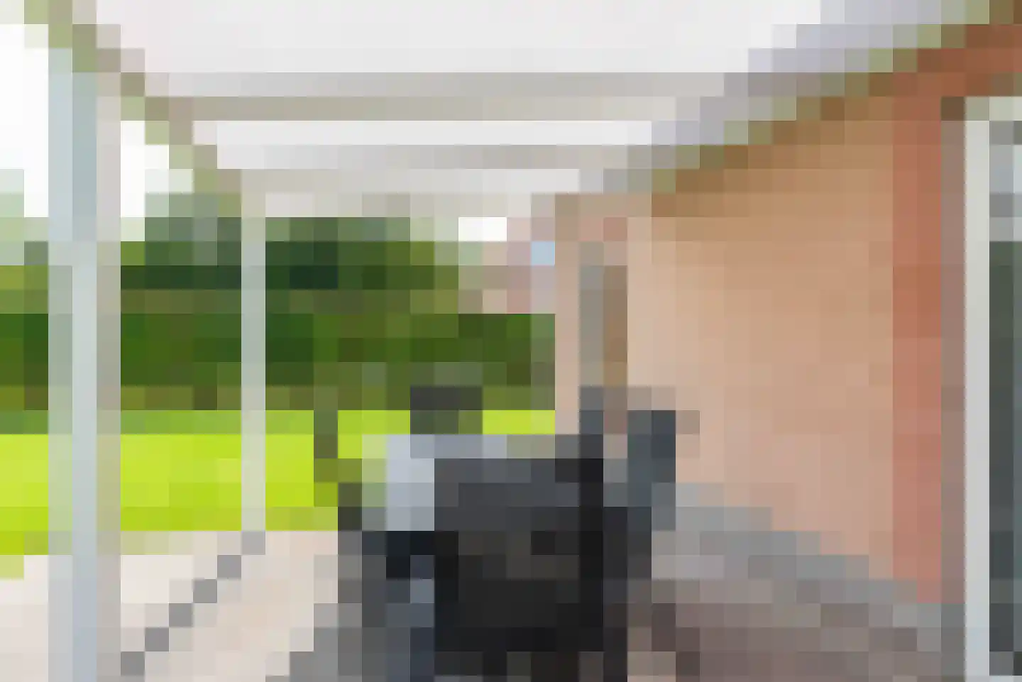 Duinpan 11 Kamperland thumbnail 19