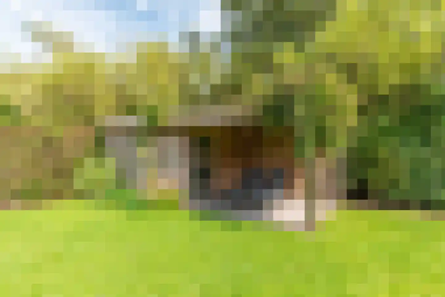 Duinpan 11 Kamperland thumbnail 21