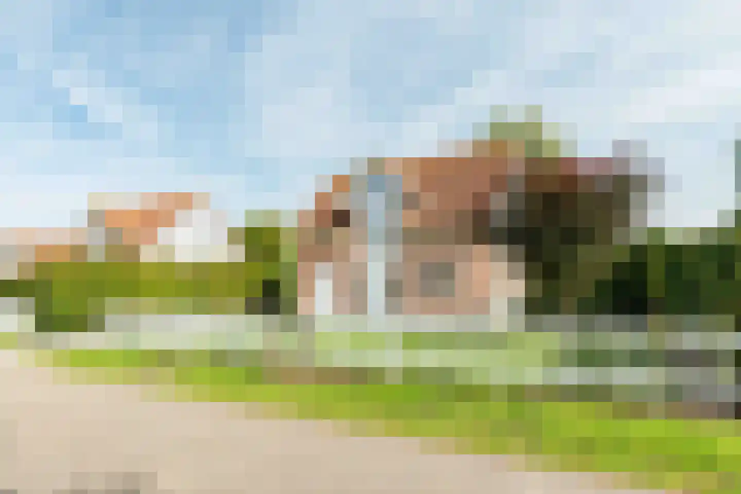 Duinpan 11 Kamperland thumbnail 23