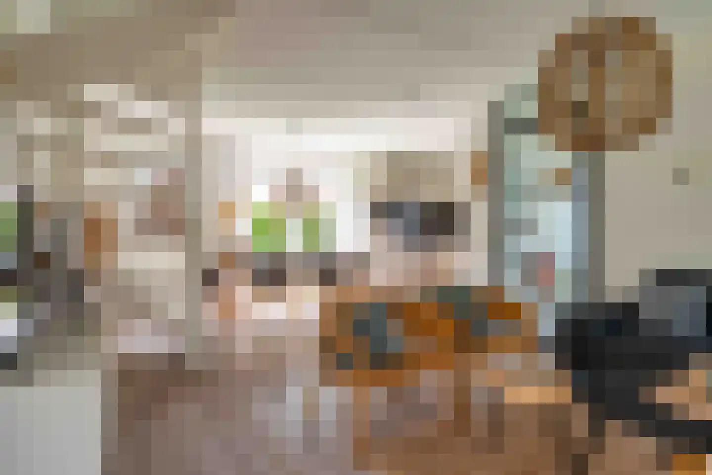 Duinpan 11 Kamperland thumbnail 8